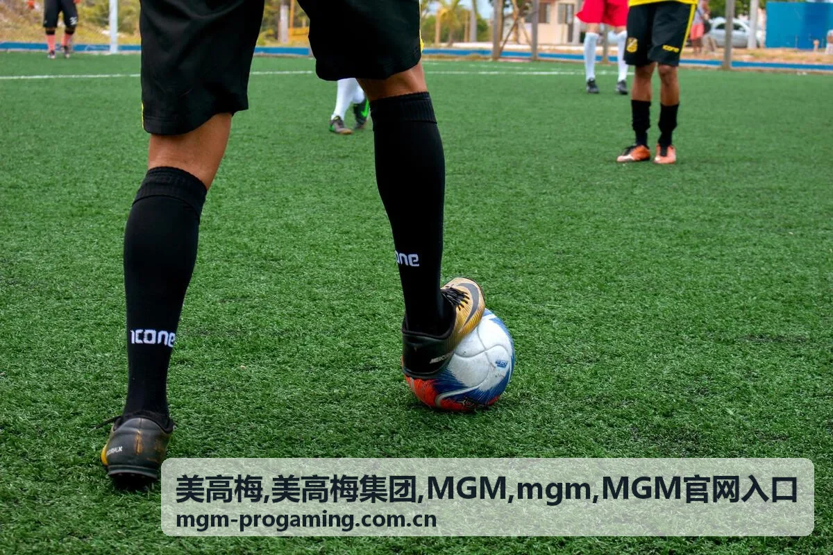 美高梅 MGM 服务场景与入口说明卡片